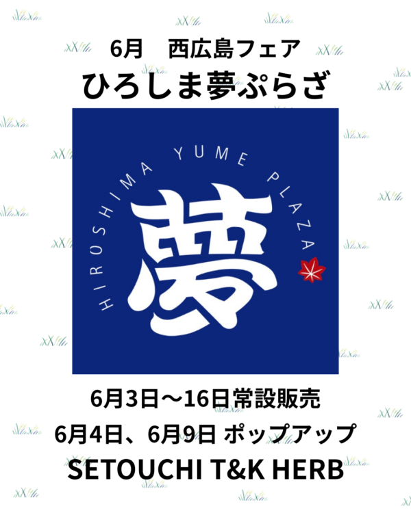 yume6